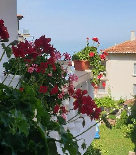 Primorsko Apartments * Primorszko