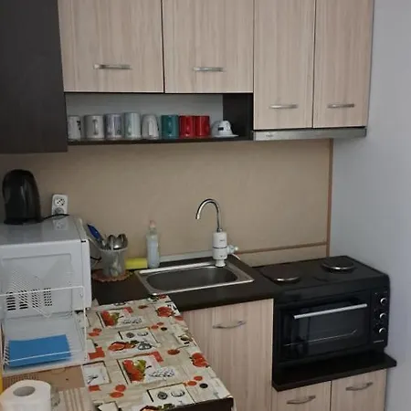 公寓 Primorsko Apartments 普里莫尔斯科