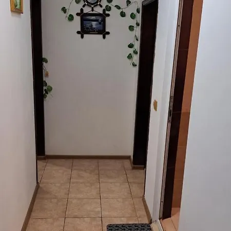 Primorsko Apartments 公寓 普里莫尔斯科