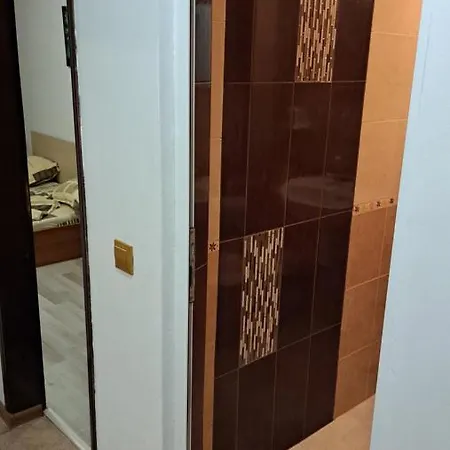 公寓 Primorsko Apartments *