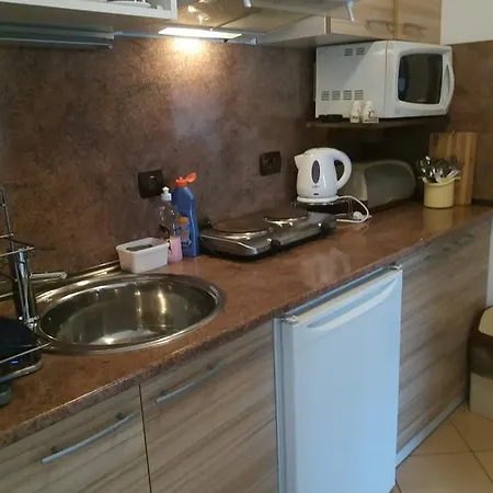 公寓 Primorsko Apartments 普里莫尔斯科