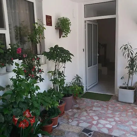 公寓 Primorsko Apartments