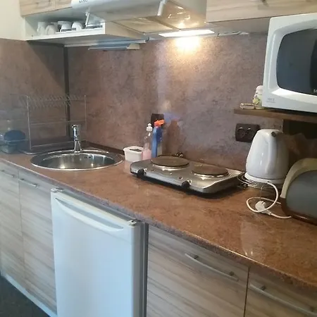 Primorsko Apartments 普里莫尔斯科