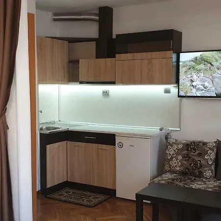 公寓 Primorsko Apartments