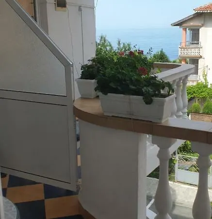 公寓 Primorsko Apartments